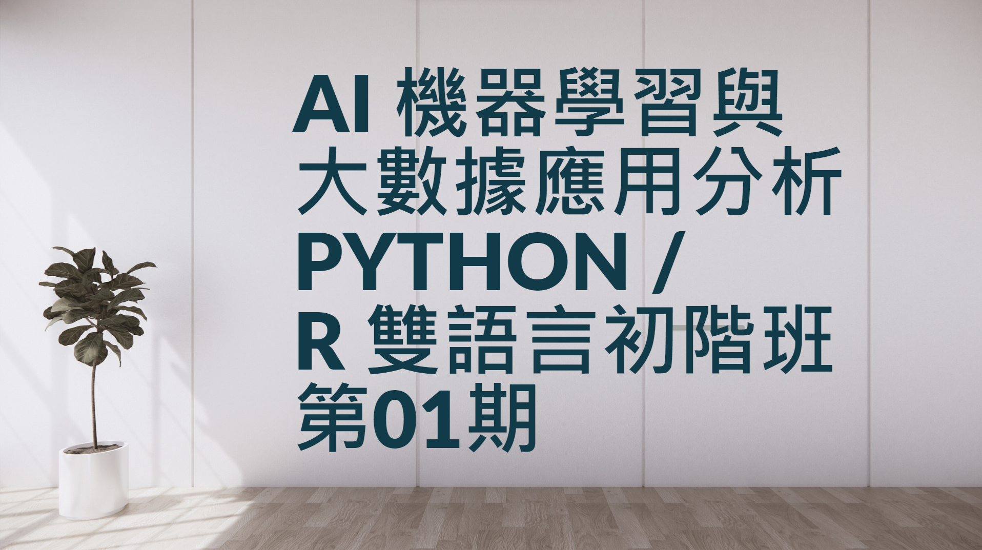 AI 機器學習與大數據應用分析Python / R 雙語言初階班第01期-0